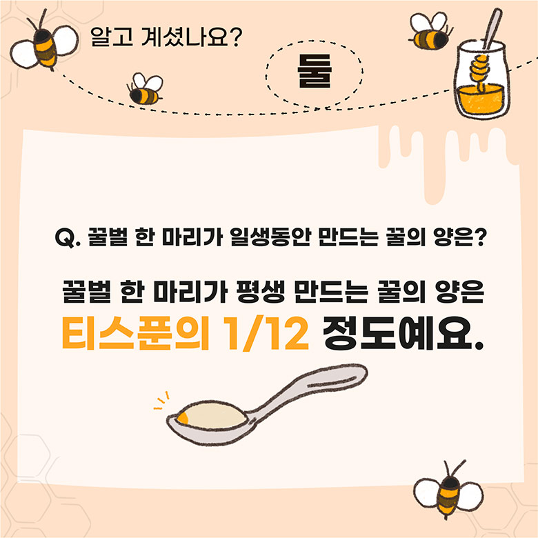 알고 계셨나요? 둘. Q. 꿀벌 한 마리가 일생동안 만드는 꿀의 양은? 꿀벌 한 마리가 평생 만드는 꿀의 양은 티스푼ㅇ, 1/12 정도예요.
