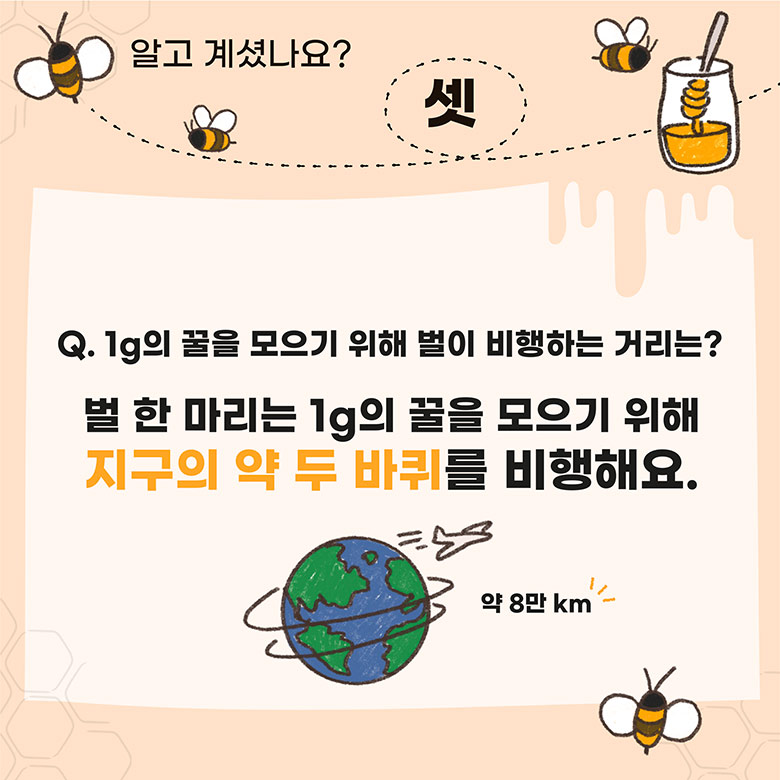 알고 계셨나요? 셋. Q. 1g의 꿀을 모르기 위해 벌이 비행하는 거리는? 벌 한 마리는 1g의 꿀을 모으기 위해 지구의 약 두 바퀴를 비행해요.