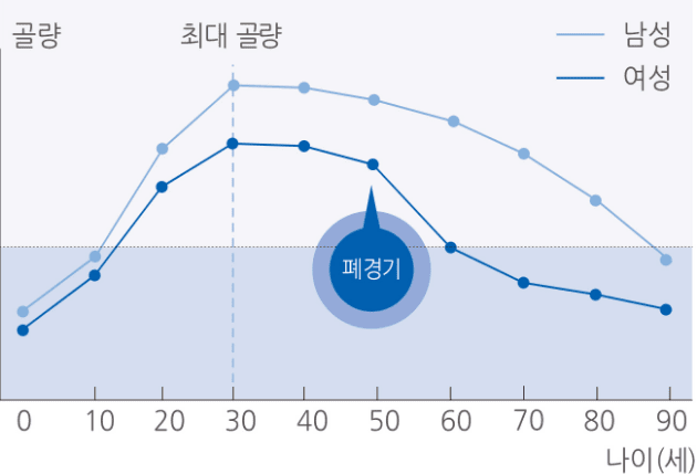 나이(여성,남성)에 따른 뼈의 감소 그래프