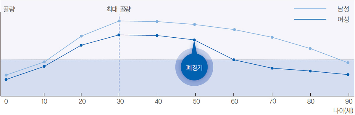 나이(여성,남성)에 따른 뼈의 감소 그래프