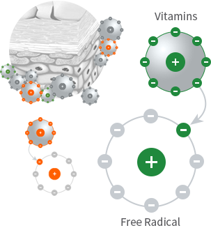 Vitamins와 Free Radical 관련 이미지