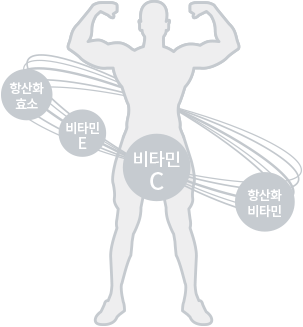 향산화 효소, 비타민 E, 비타민 C, 항산화 비타민 관련 이미지