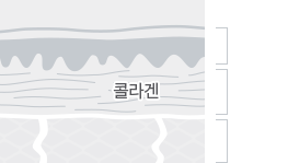 콜라겐 관련 이미지