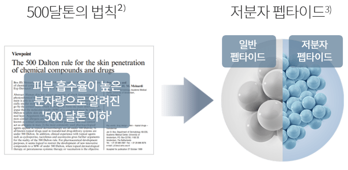500달톤의 법칙2) : 피부 흡수율이 높은 분자량으로 알려진 '500 달톤 이하' -> 저분자 펩타이드3) : 일반 페타이드 / 저분자 펩타이드” style=”max-width: 400px; width: 100%;”></p>
<div class=