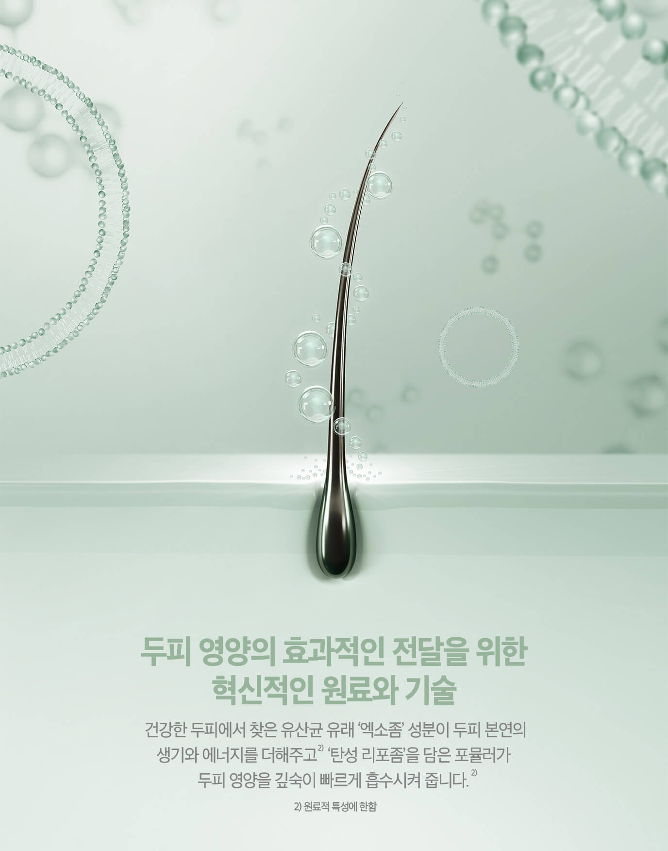 두피 영양의 효과적인 전달을 위한 혁신적인 원료와 기술 - 건강한 두피에서 찾은 유산균 유래 '엑소좀'성분이 두피 본연의 생기와 에너지를 더해주고 '탄성 리포좀'을 담은 포뮬러가 두피 영양을 깊숙이 빠르게 흡수시켜 줍니다.