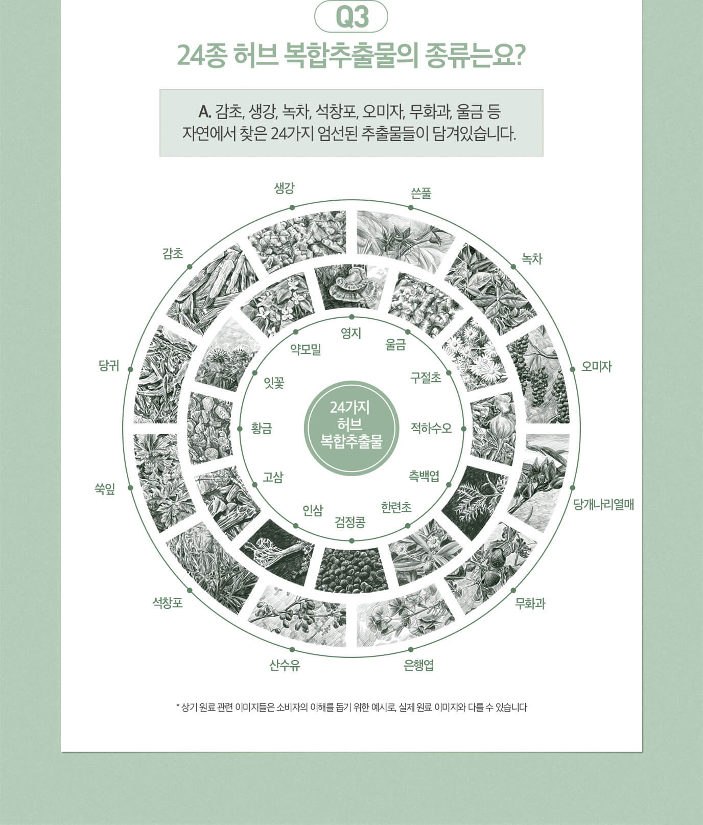 Q3 24종 허브 복합추출물의 종류는요? A. 감초, 생강, 녹차, 석창포, 오미자, 무화과, 울금 등 자연에서 찾은 24가지 엄선된 추출물들이 담겨있습니다.