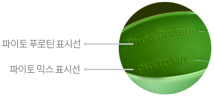 계량 표시선 참고 이미지