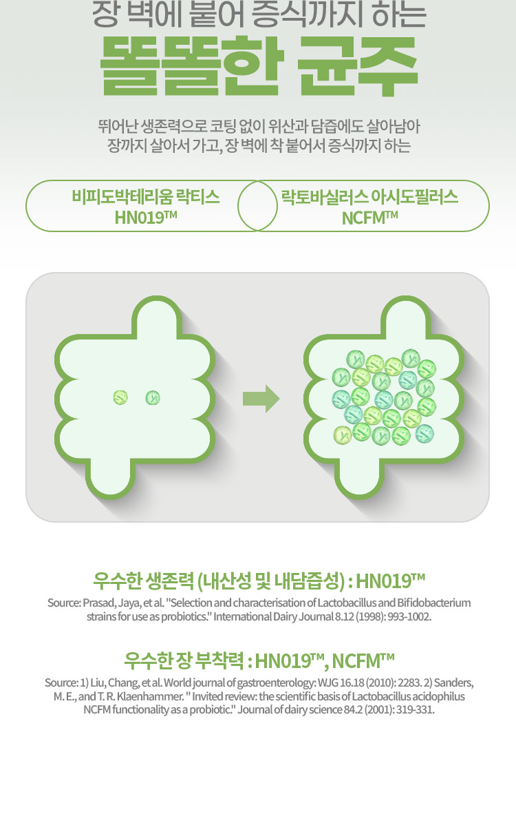 장 벽에 붙어 증식까지 하는 똘똘한 균주