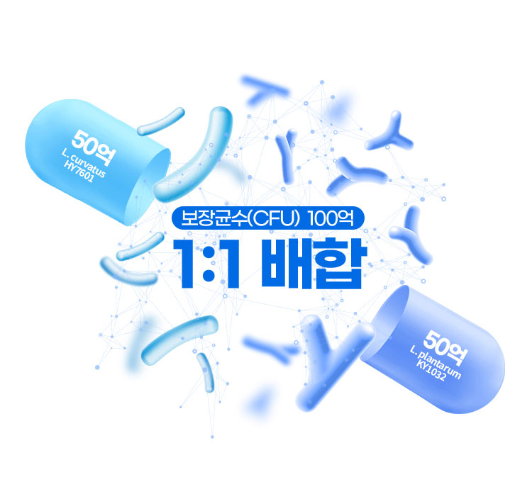 보장균수(CFU) 100억 1:1 배합
