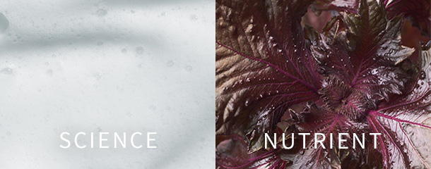 SCIENCE, NUTRIENT