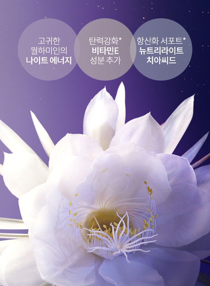 고귀한 월하미인의 나이트 에너지 / 탄력 강화* 비타민 E 추가 / 항산화 서포트* 뉴트리라이트 치아씨드