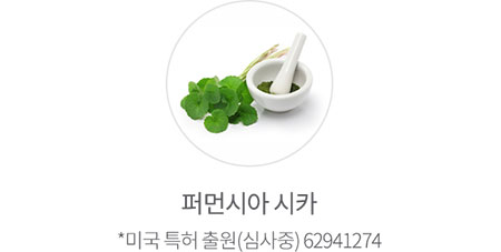퍼먼시아 시카 (미국 특허 출원(심사중) 62941274)