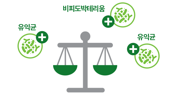 유익균, 비피도박테리움, 유익균