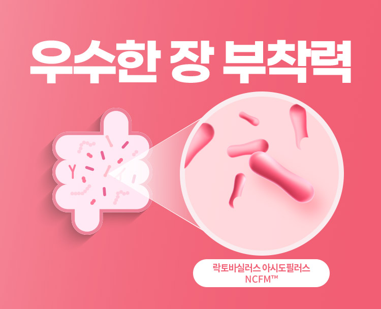 우수한 장 부착력 락토바실러스 아시도필러스 NCFM™