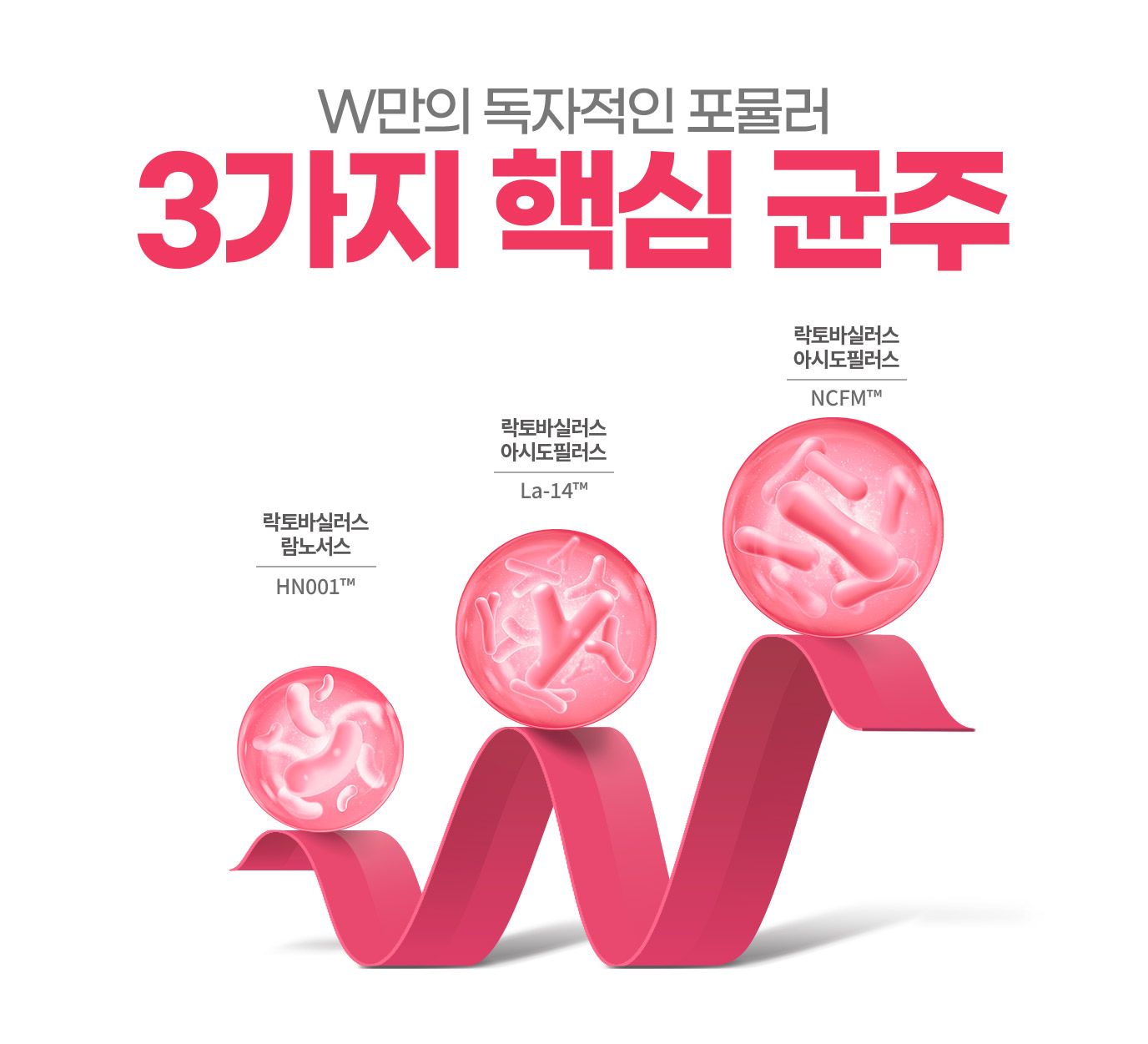 W만의 독자적인 포뮬러 3가지 핵심 균주 락토바실러스 람노서스 / 락토바실러스 아시도필러스 / 락토바실러스 아시도필러스