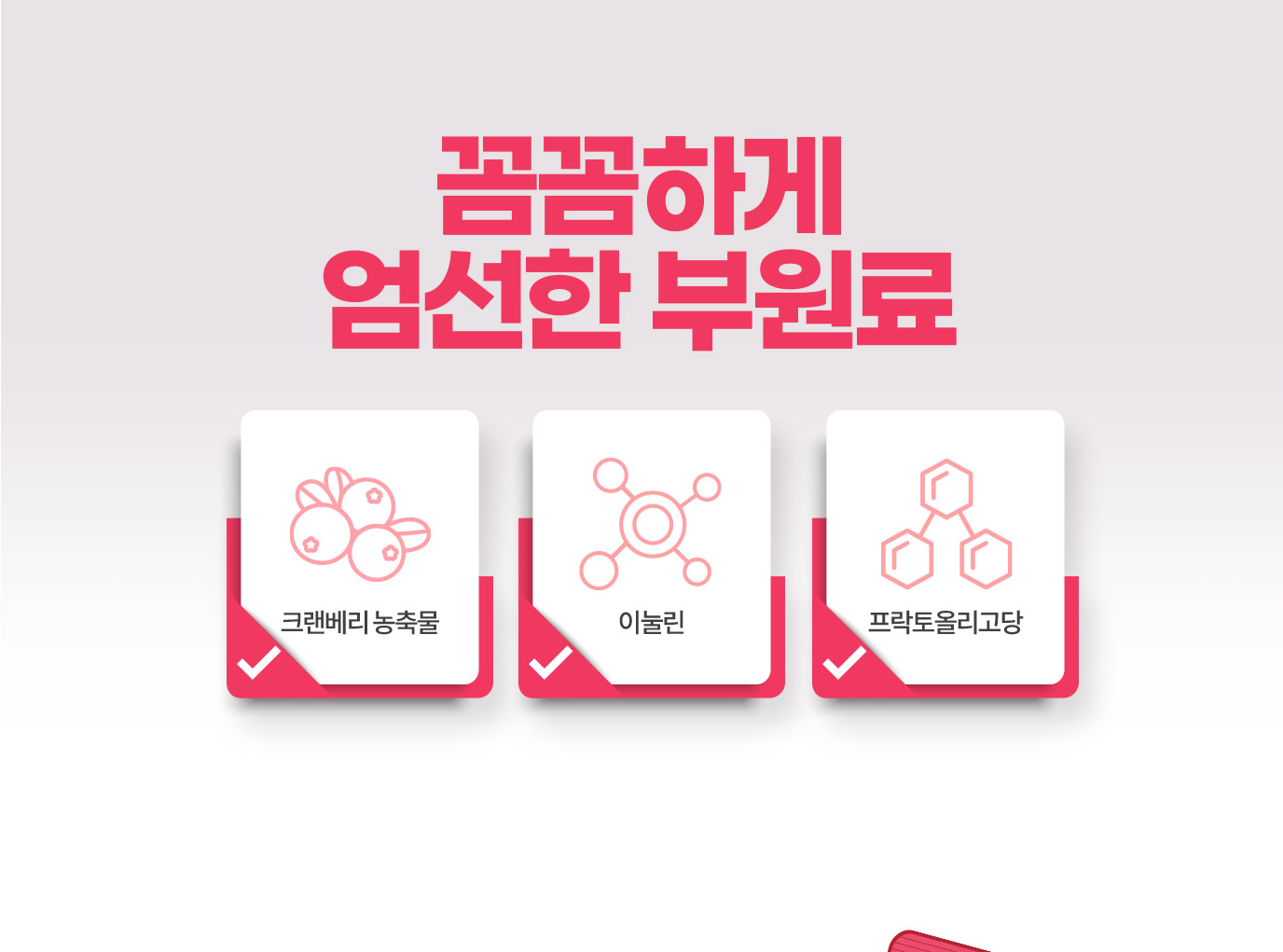 꼼꼼하게 엄선한 부원료 크랜베리 농축물 / 이눌린 / 프락토올리고당