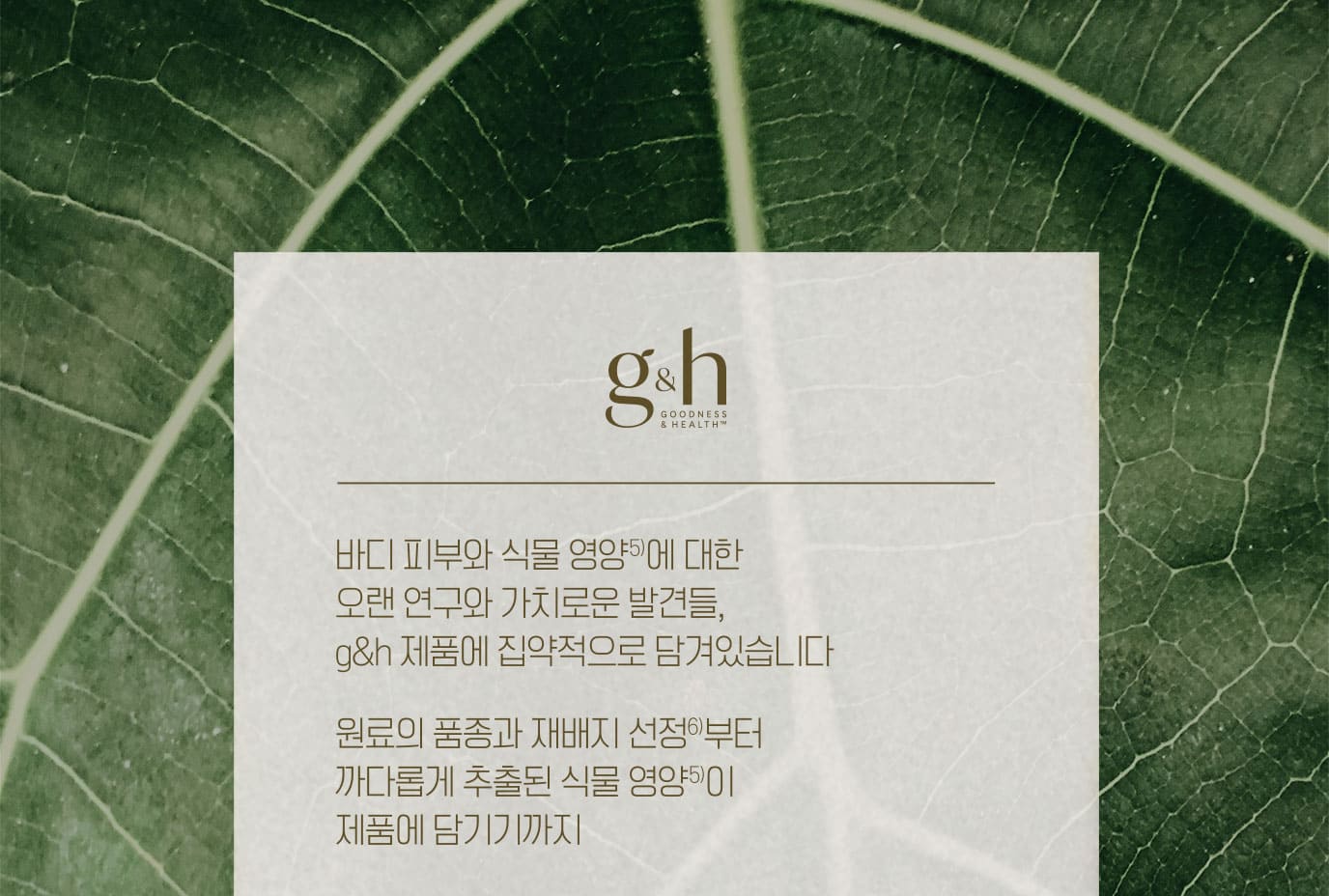 바디 피부와 식물 영양5)에 대한 오랜 연구와 가치로운 발견들, g&h 제품에 집약적으로 담겨있습니다 원료의 품종과 지배지 선정6)부터 까다롭게 추출된 식물 영양이 제품에 담기기까지 g&h는 이 모든 여정을 하나의 제품이라 여기기에 더 철저하고 더 집요하게 완성합니다. 바디 케어를 넘어 바디 뉴트리션 g&h