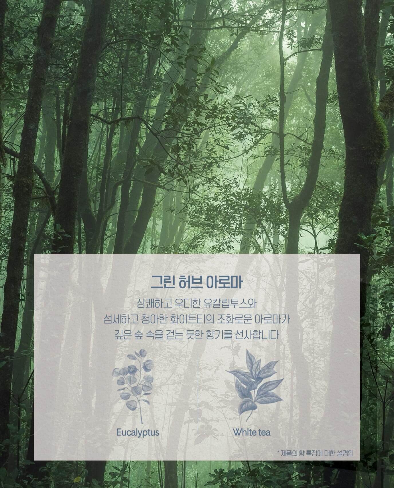 그린 허브 아로마