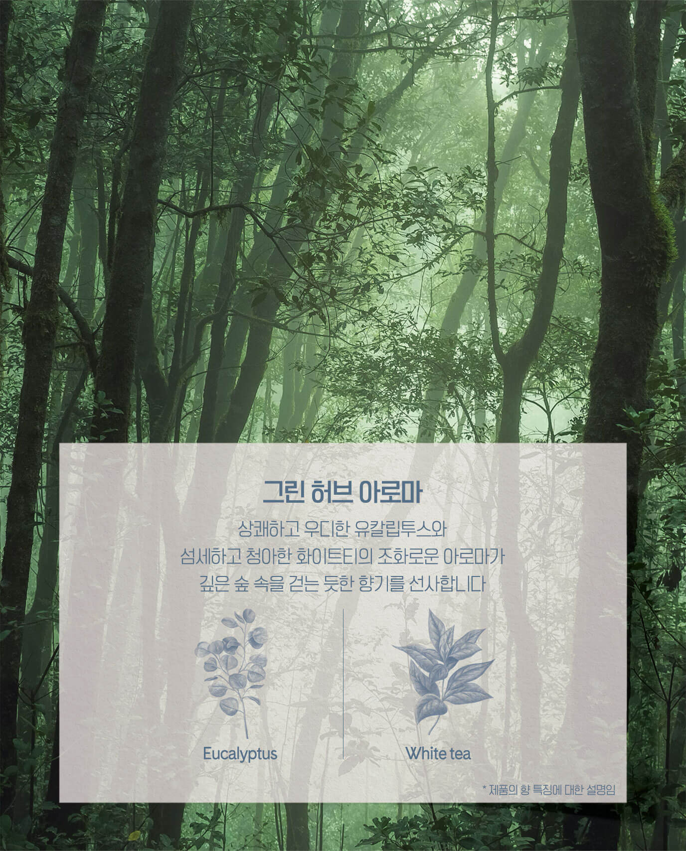 그린 허브 아로마