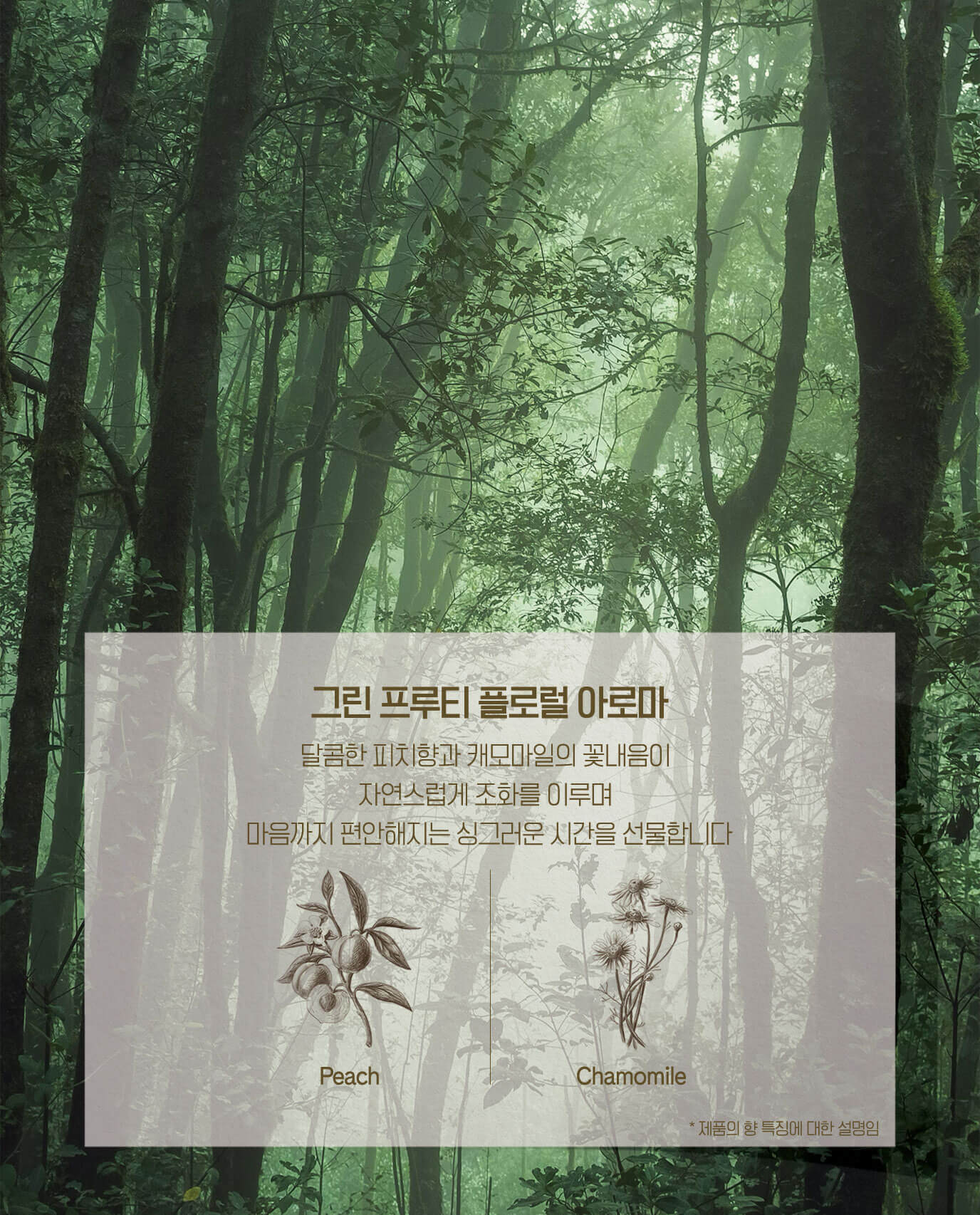 그린 프루티 플로럴 아로마