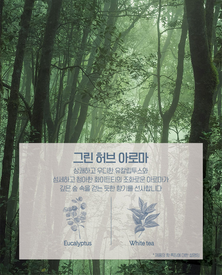 그린 허브 아로마