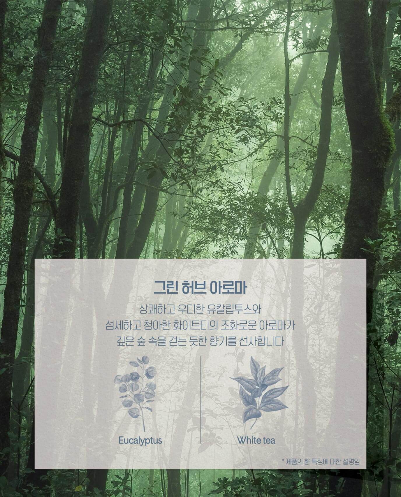 그린 허브 아로마