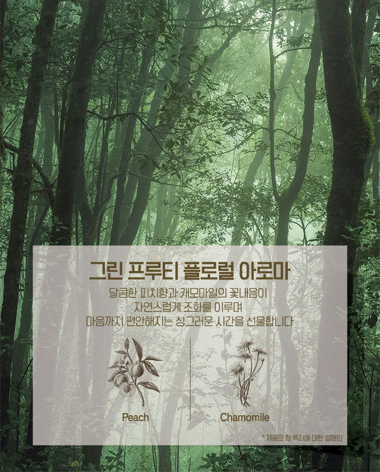 그린 프루티 플로럴 아로마