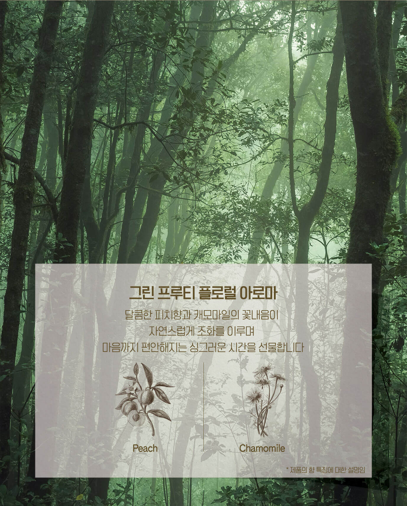 그린 프루티 플로럴 아로마