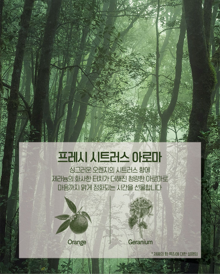 프레시 시트러스 아로마