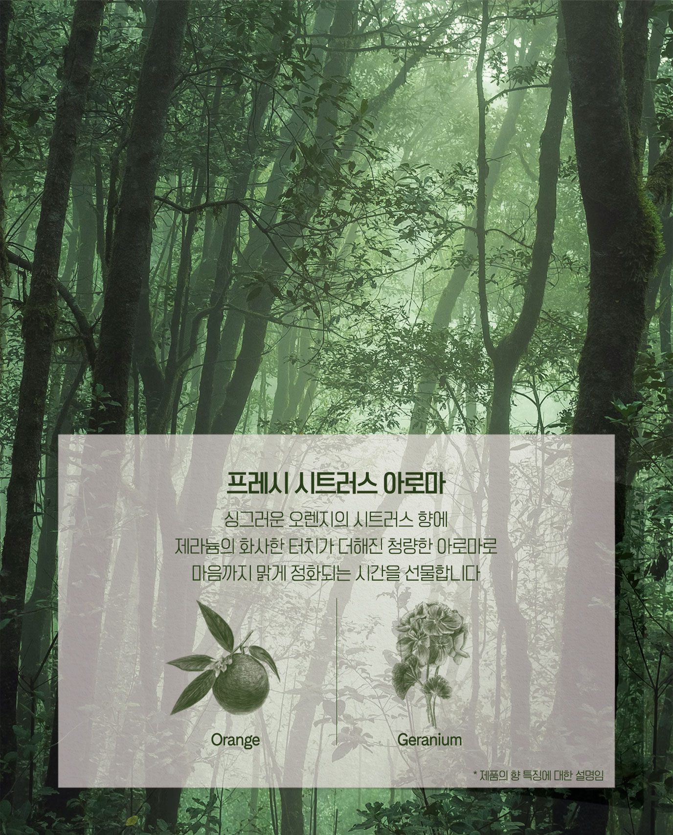 프레시 시트러스 아로마
