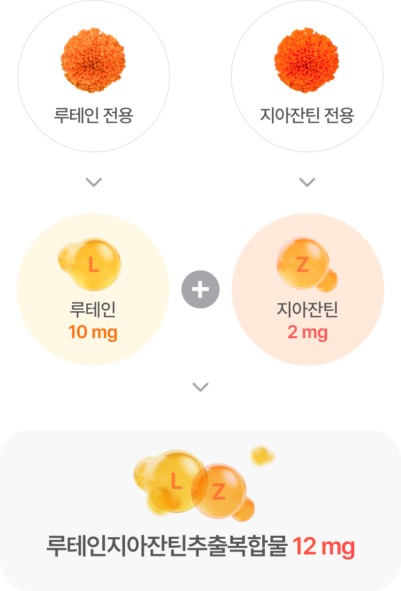 루테인전용->루테인 10mg + 지아잔틴 전용->지아잔틴 2mg ->루테인지아잔틴추출복합물 12mg”></p>
</p>
</div>
<div class=