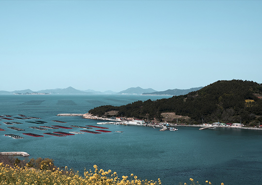 바다 이미지