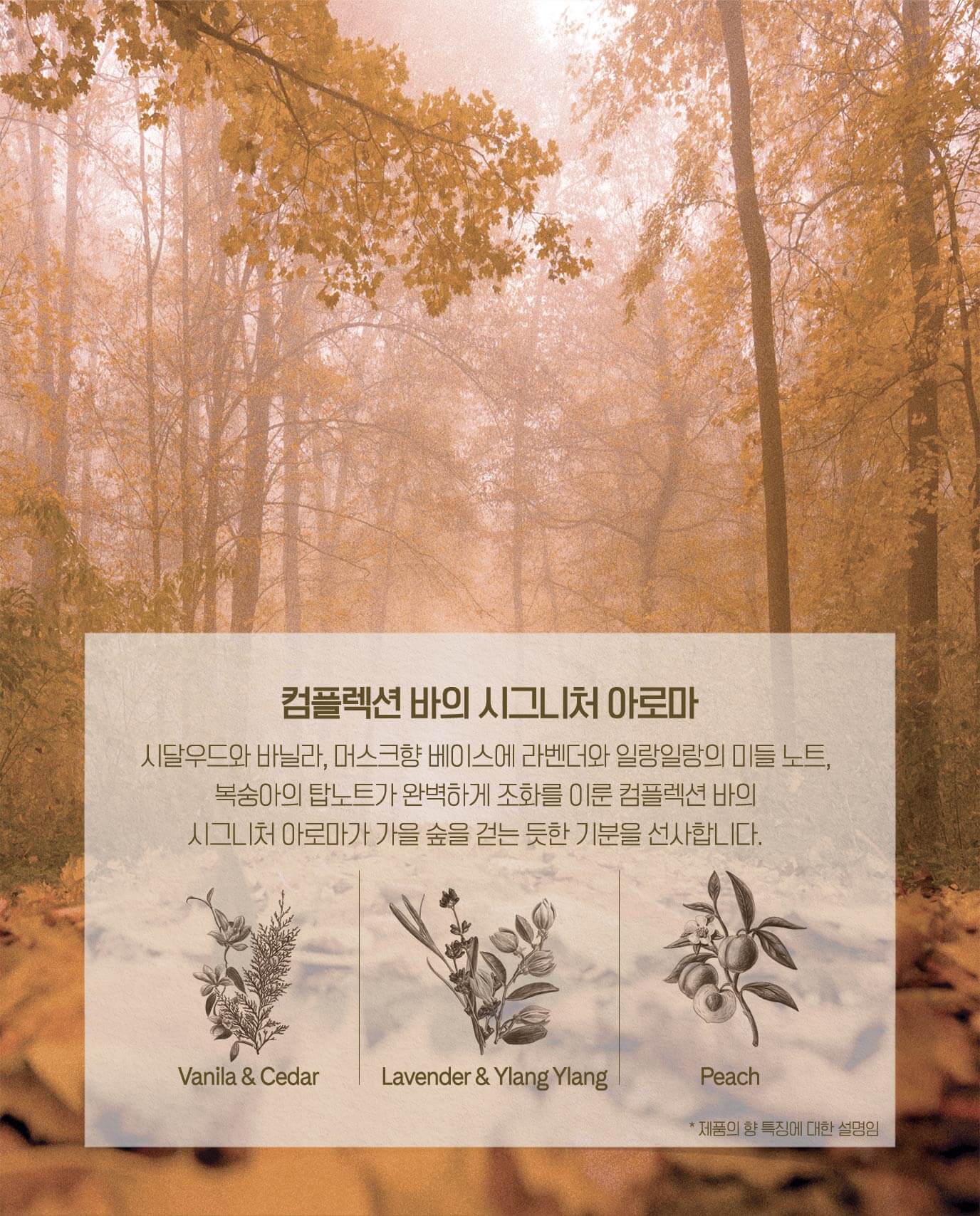 컴플렉션 바의 시그니처 아로마 시달우드와 바닐라, 머스크향 베이스에 라벤더와 일랑일랑의 미들 노트, 복숭아의 탑노트가 완벽하게 조화를 이룬 컴플렉션 바의 시그니처 아로마가 가을 숲을 걷는 듯한 기분을 선사합니다.