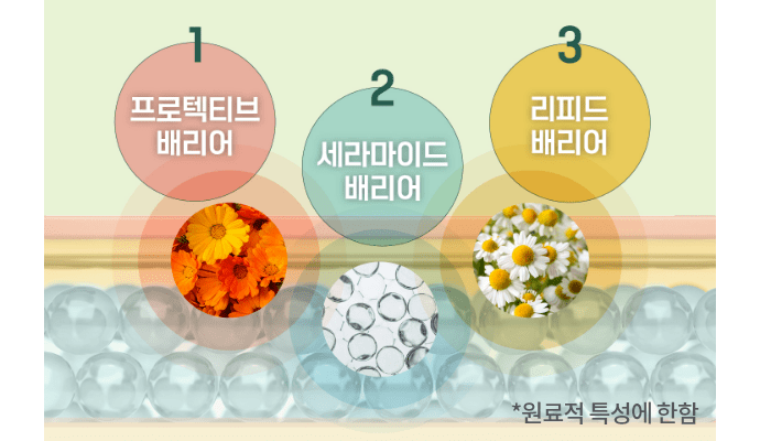 1 프로텍티브 배리어, 2 세라마이드 배리어, 3 리피드 배리어 표현한 이미지 / *원료적 특성에 한함