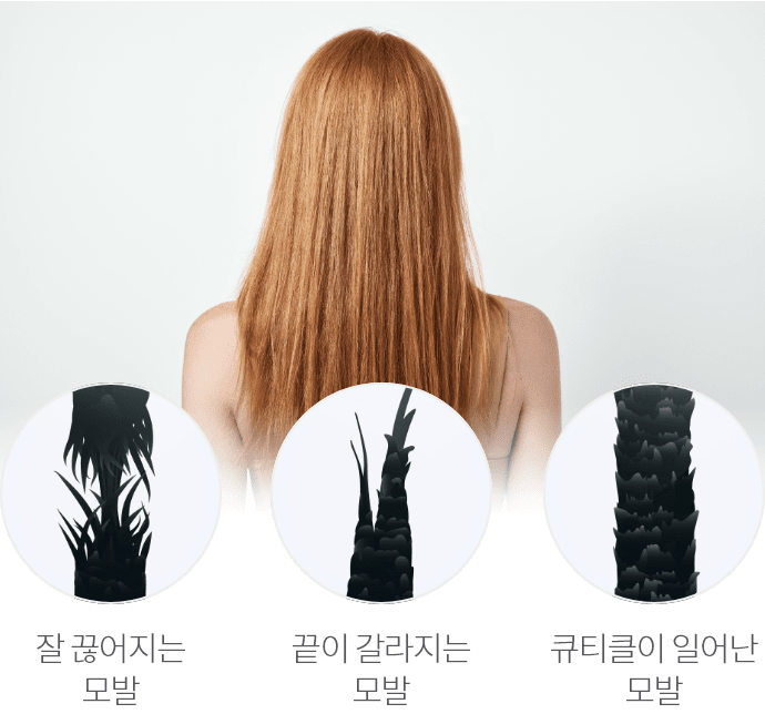 관련 이미지