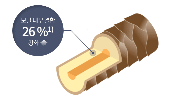 관련 이미지