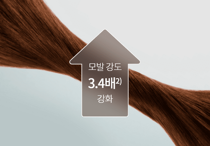 관련 이미지