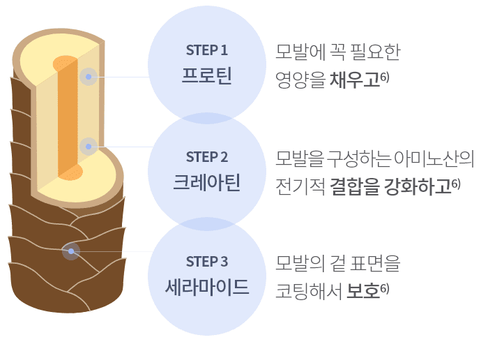관련 이미지