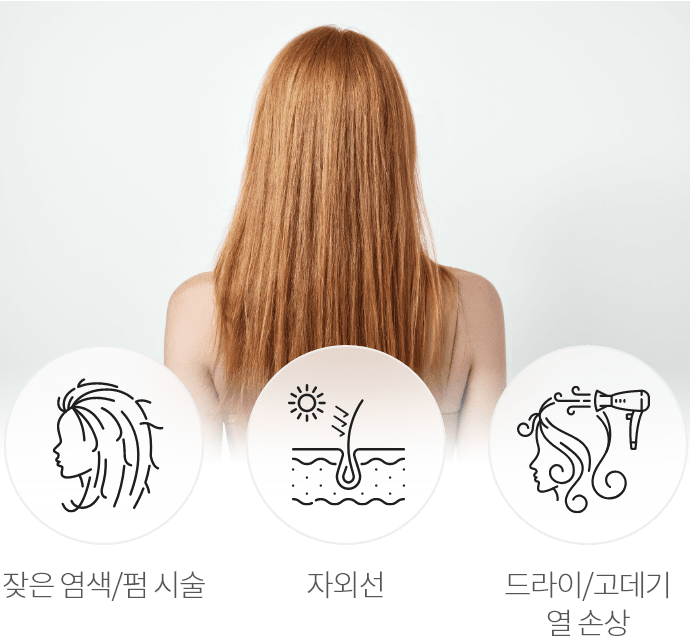 관련 이미지