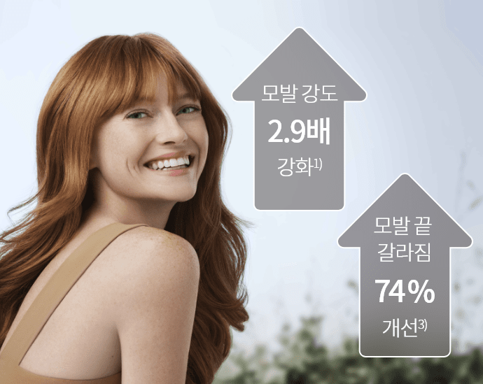 관련 이미지