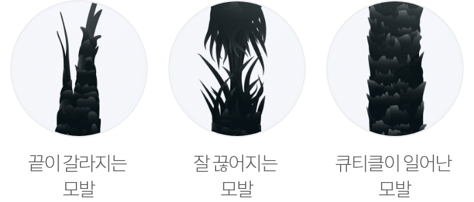 관련 이미지