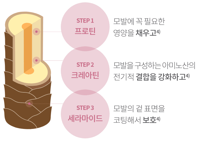STEP 1 프로틴 모발에 꼭 필요한 영양을 채우고4) / STEP 2 크레아틴 모발을 구성하는 아미노산의 전기적 결합을 강화하고4) / STEP 3 세라마이드 모발의 겉 표면을 코팅해서 보호4)