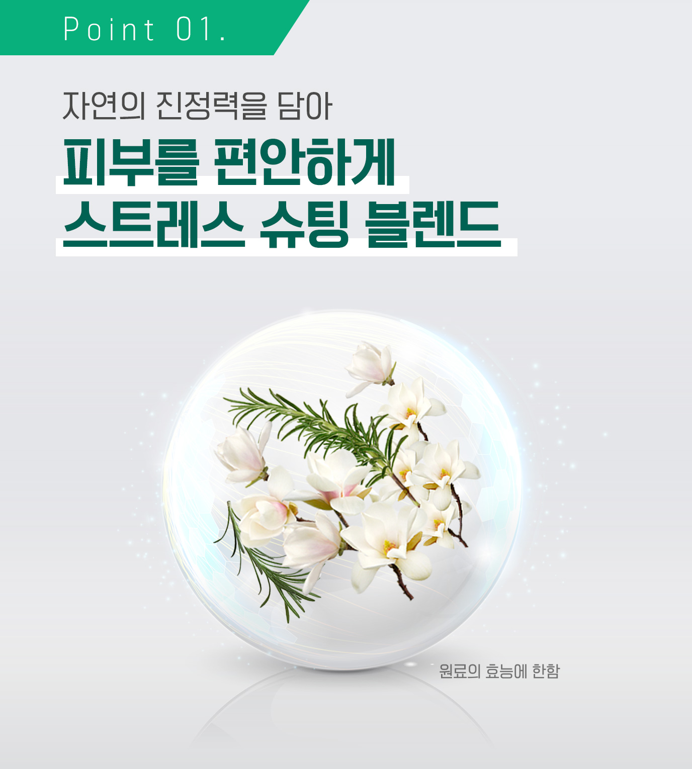 Point 01. 자연의 진정력을 담아 피부를 편안하게 스트레스 슈팅 블렌드 (원료의 효능에 한함)