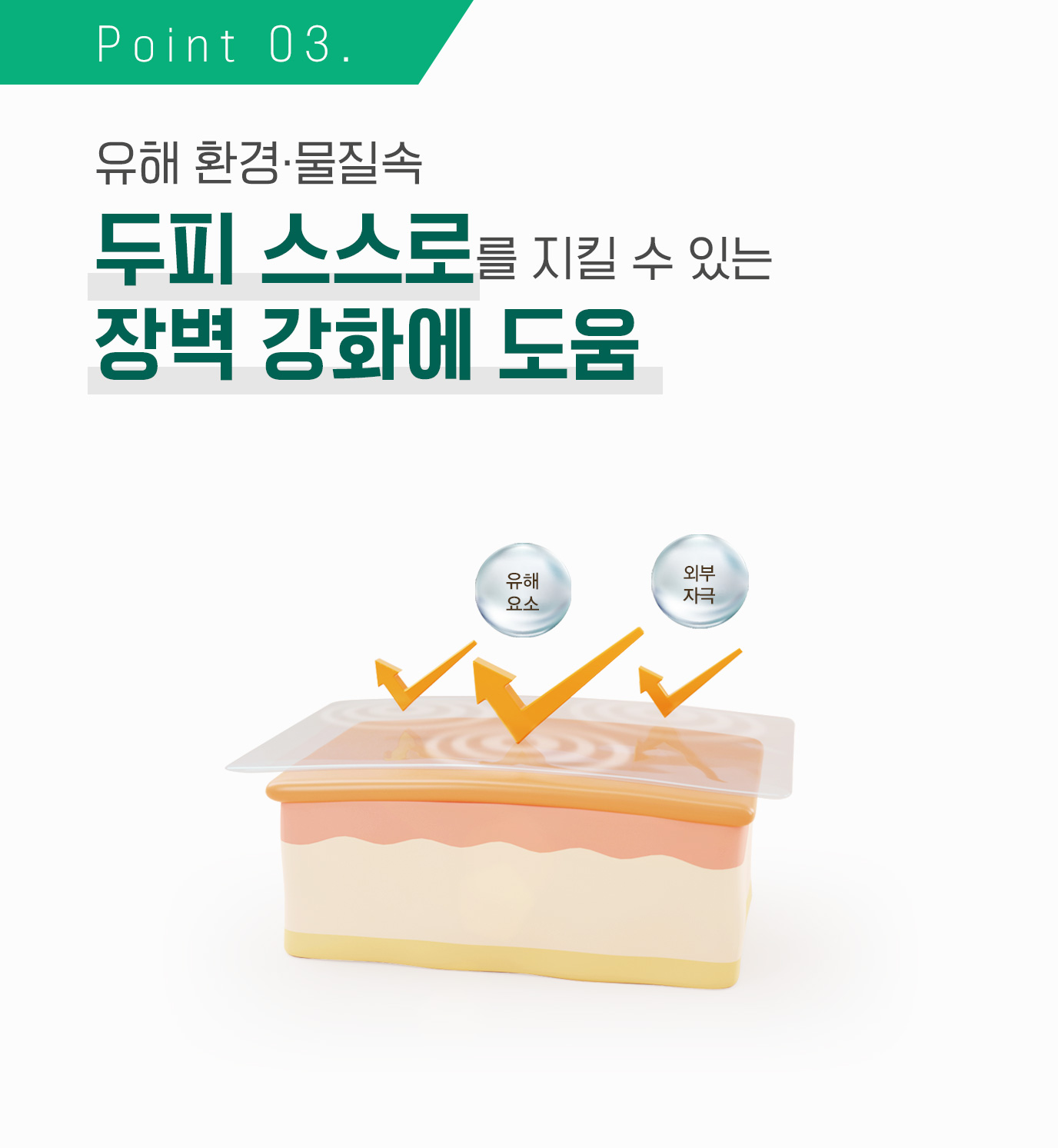 Point 03. 유해 환경·물질속 두피 스스로를 지킬 수 있는 장벽 강화에 도움