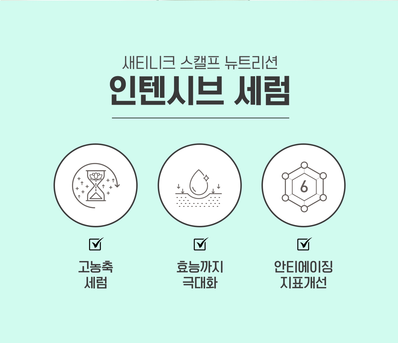 새티니크 스캘프 뉴트리션 인텐시브 세럼 | 고농축 세럼, 효능까지 극대화, 안티에이징 지표개선