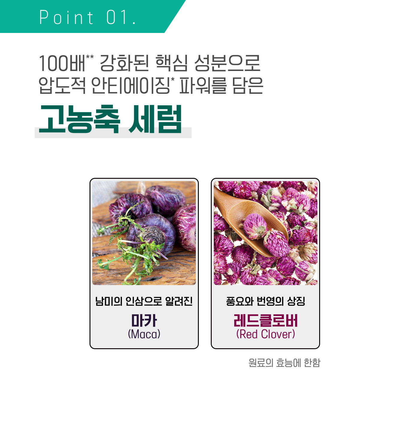 Point 01. 100배** 강화된 핵심 성분으로 압도적 안티에이징* 파워를 담은 고농축 세럼| 남미의 인삼으로 알려진, 마카 (Maca) | 풍요와 번영의 상징, 레드클로버 (Red Clover) (원료 효능에 한함)