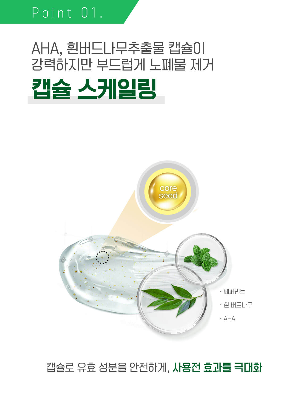 Point 01. AHA, 흰버드나무추출물(BHA 합유) 캡슐이 강력하지만 부드럽게 노폐물 제거 캡슐 스케일링 캡슐로 유효 성분을 안전하게, 사용전 효과를 극대화 (페퍼민트,흰 버드나무 (BHA 함유), AHA)