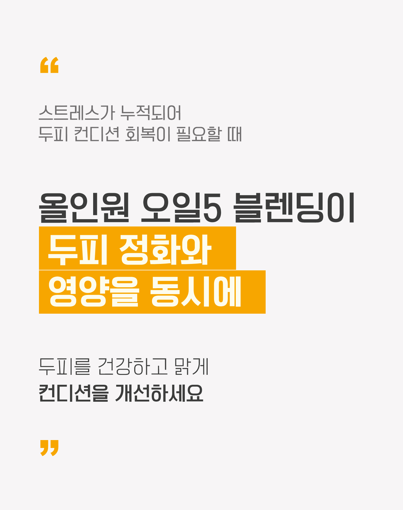 스트레스가 누적되어 두피 컨디션 회복이 필요할 때 올인원 오일5 블렌딩이 두피 정화와 영양을 동시에 두피를 건강하고 맑게 컨디션을 개선하세요.
