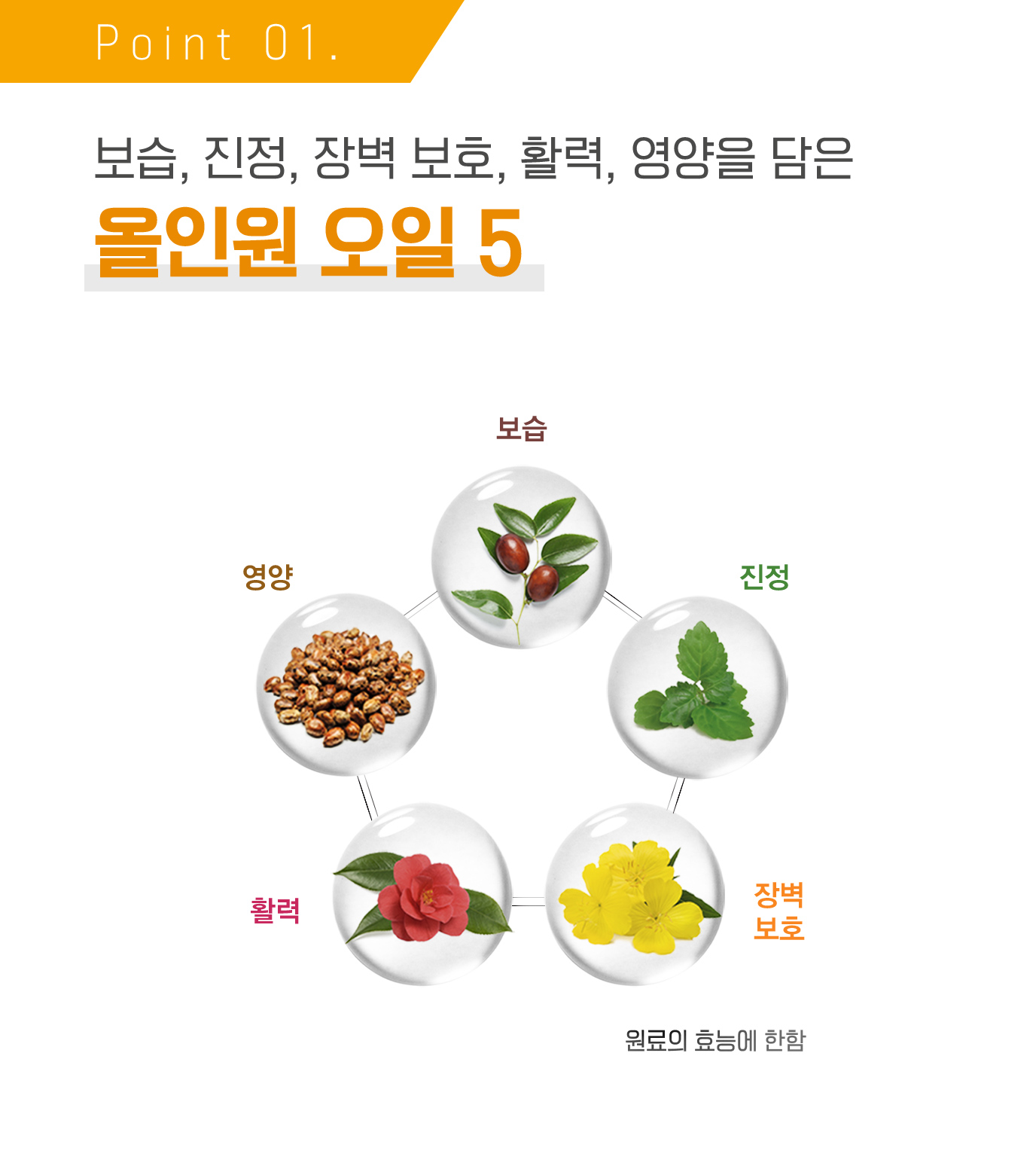 Point 01. 보습, 진정, 장벽 보호, 활력, 영양을 담은 올인원 오일 5 (보습, 진정, 장벽 보호, 활력, 영양 / 원료 효능에 한함)