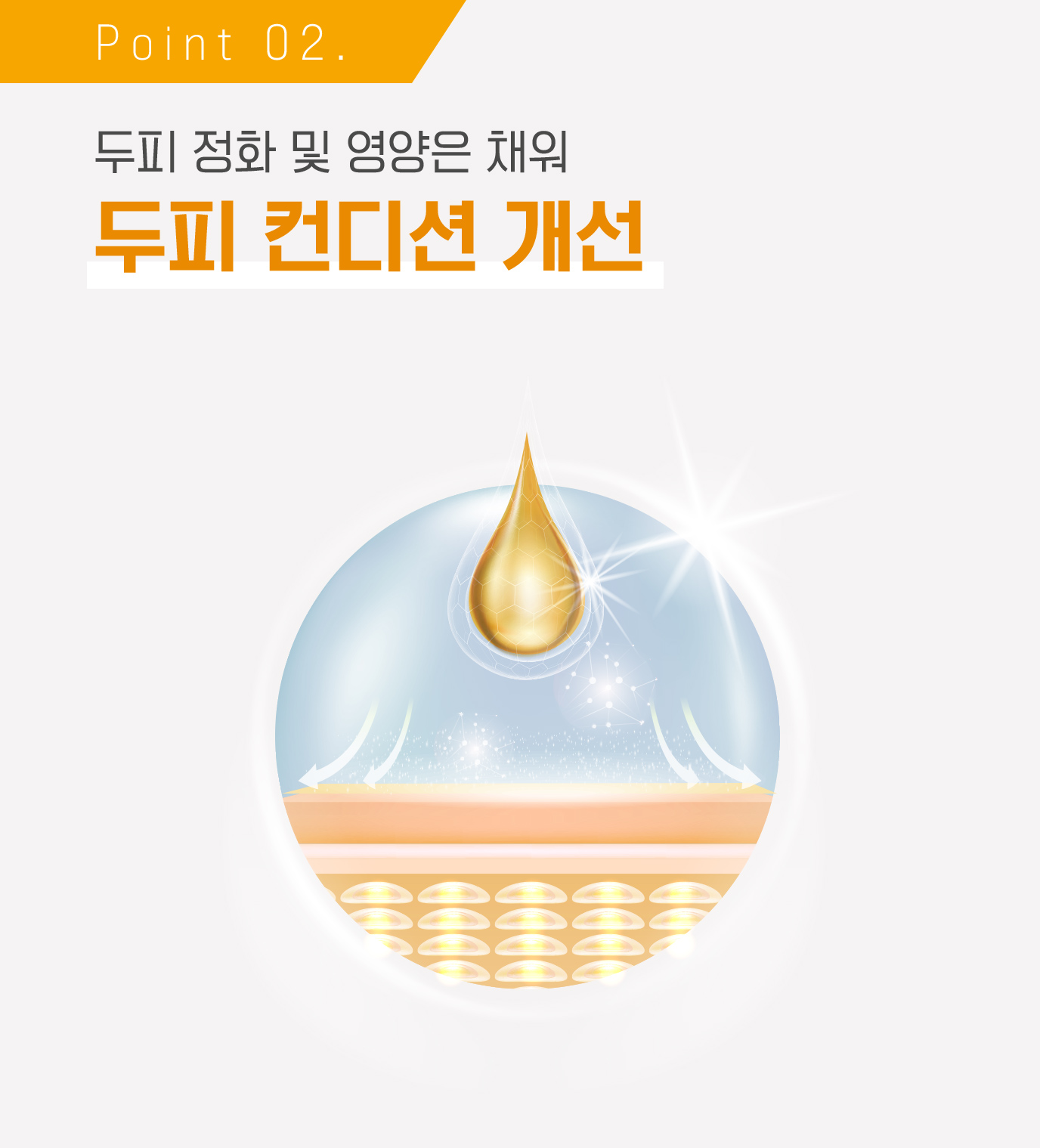 Point 02. 두피 정화 및 영양은 채워 두피 컨디션 개선